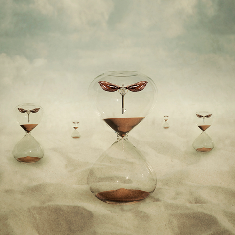 Image by Kelly Barker