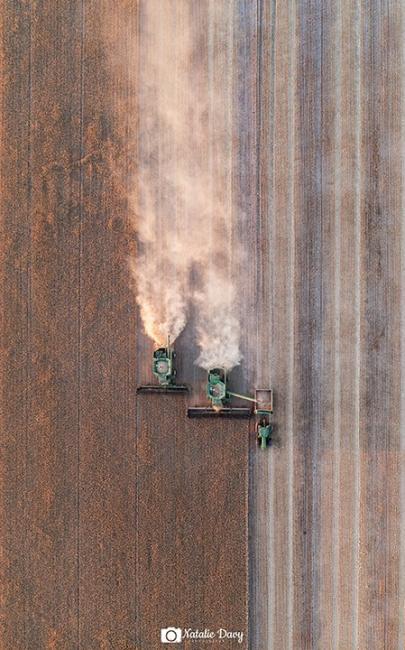 Image by Natalie Atkins